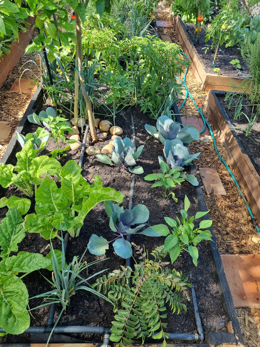 Gardening. Composting at home. Cape Town. South Africa