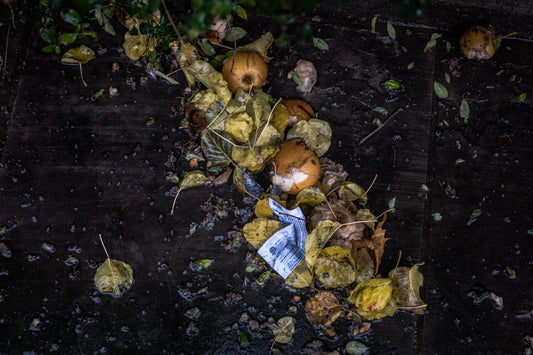 How I Started Composting At Home